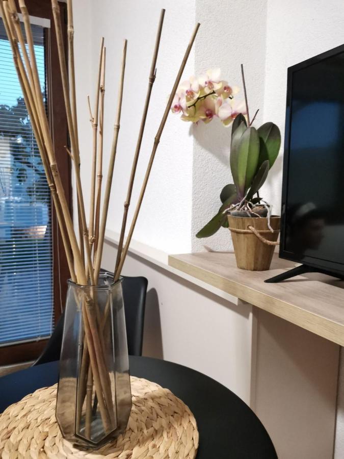 Snegar Apartments Ohrid Ngoại thất bức ảnh