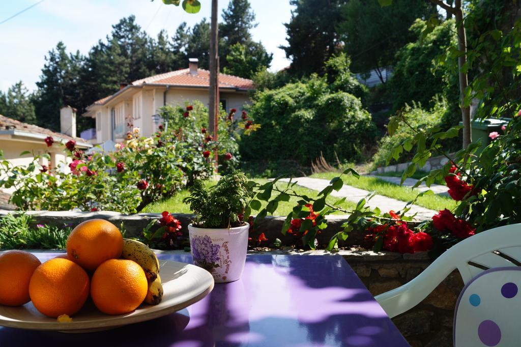 Snegar Apartments Ohrid Ngoại thất bức ảnh